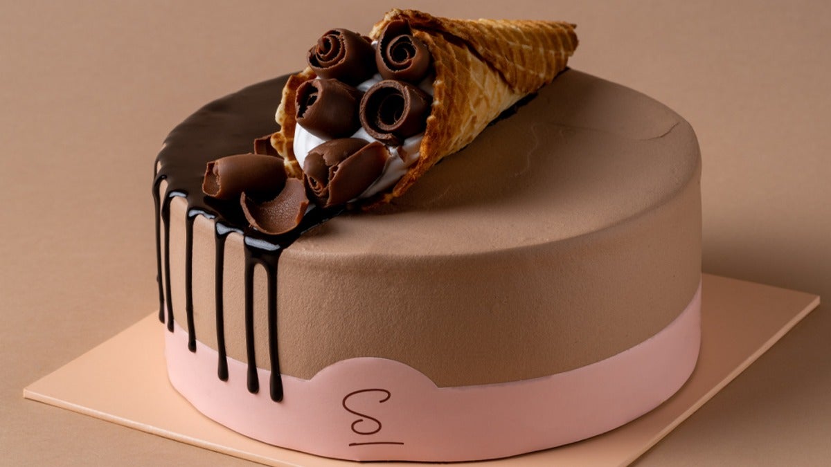 Chocolate Ice Cream Cake