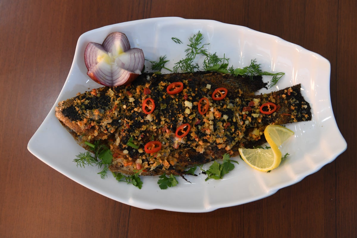 Tilapia fish