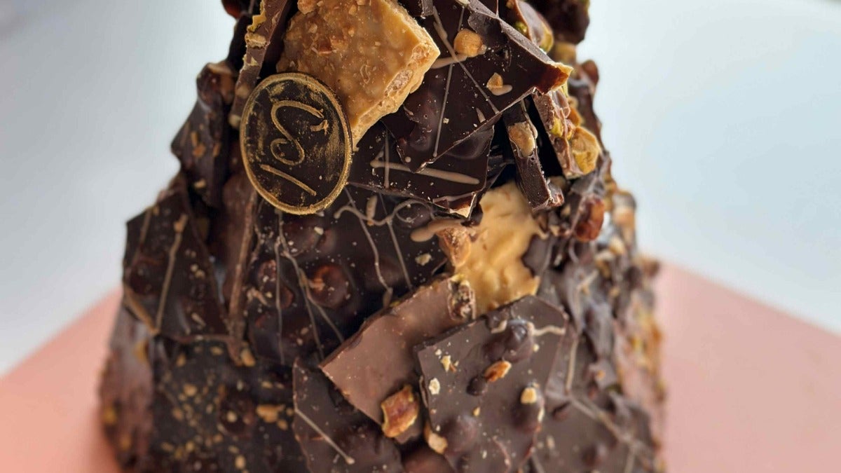 Mixed Brittle Bark Tower