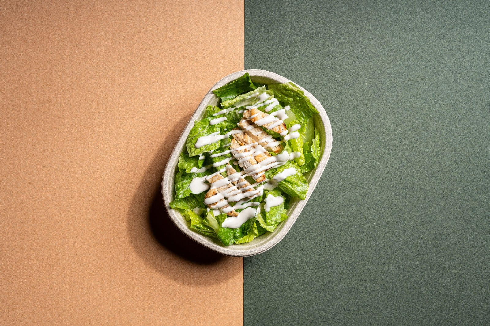 Grilled Chicken Salad