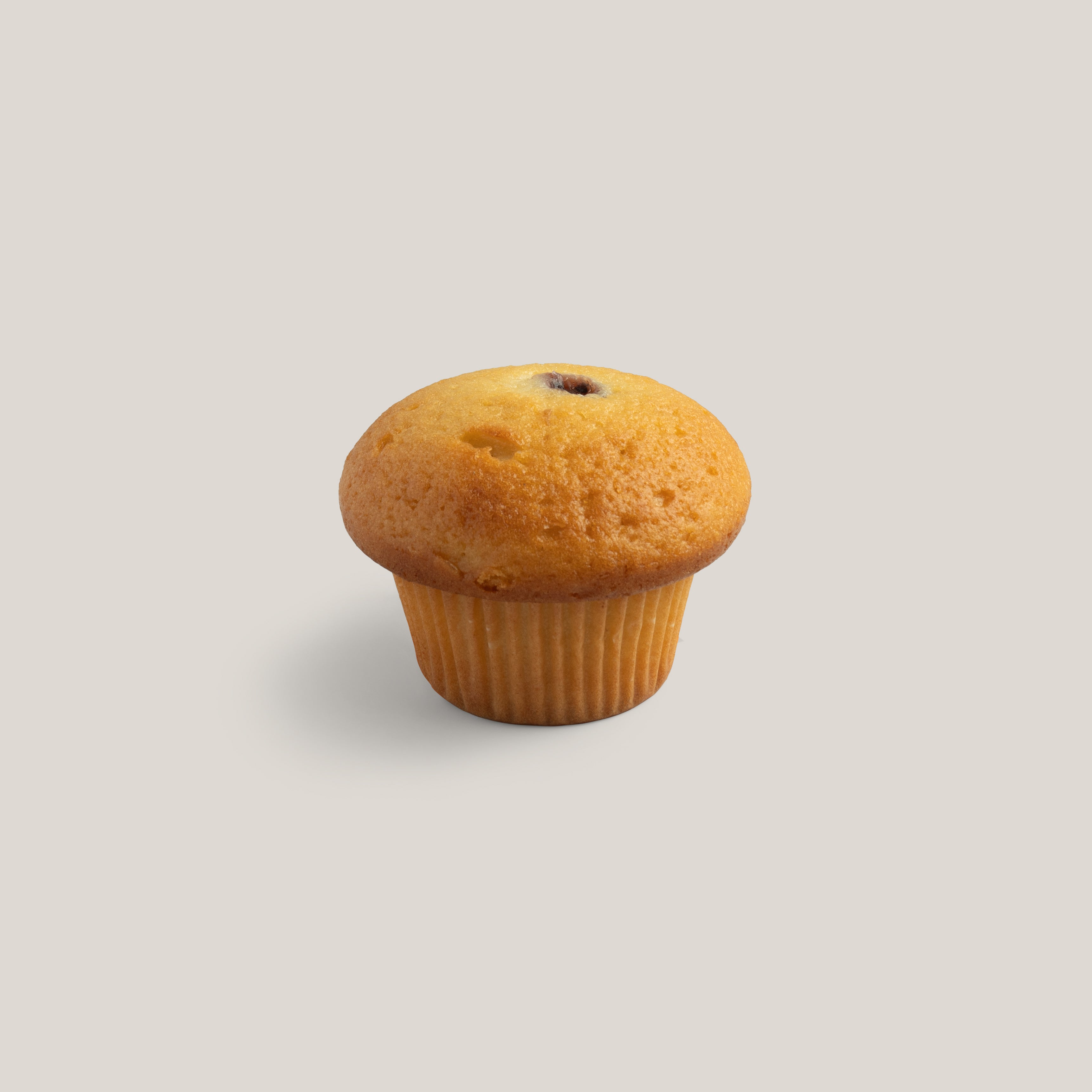 Blueberry Muffin