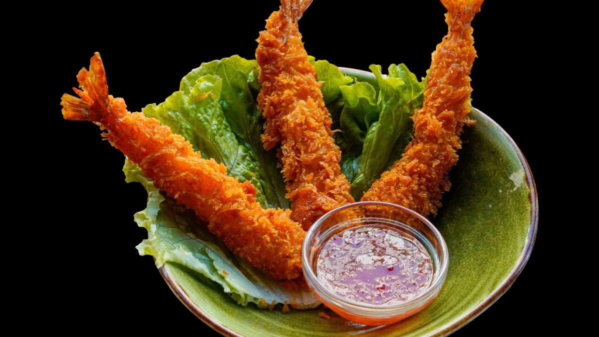 Tempura X3