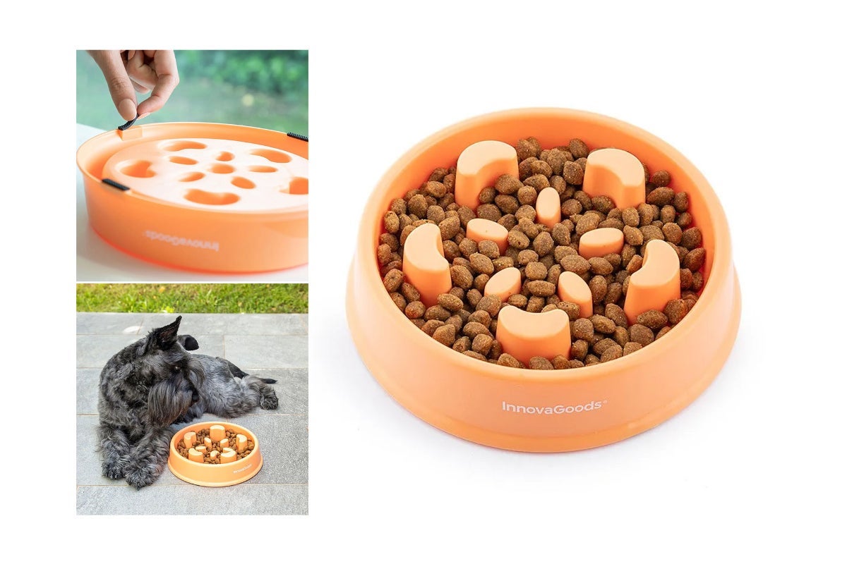 Slow Eating Food Bowl for Pets Slowfi InnovaGoods
