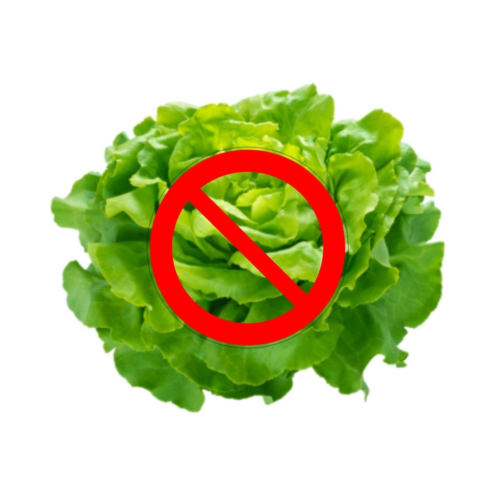 Sans salade