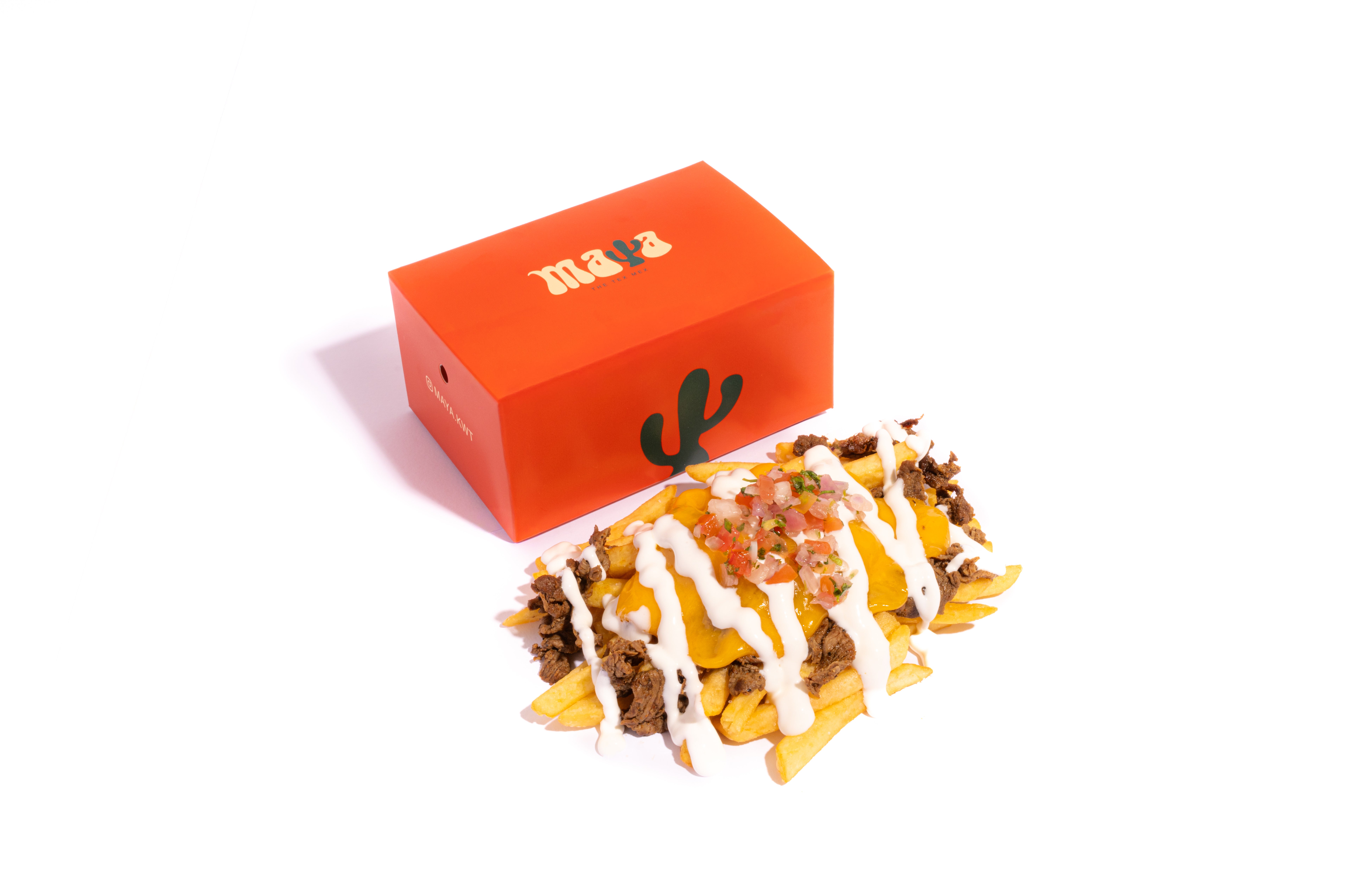 Carne Asada Fries