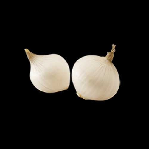 OIGNONS