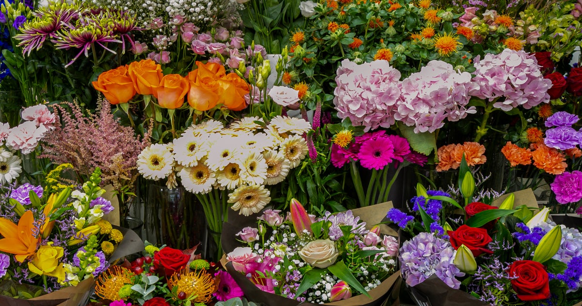 The Flower Gallery St James's delivery from West Hampstead Order