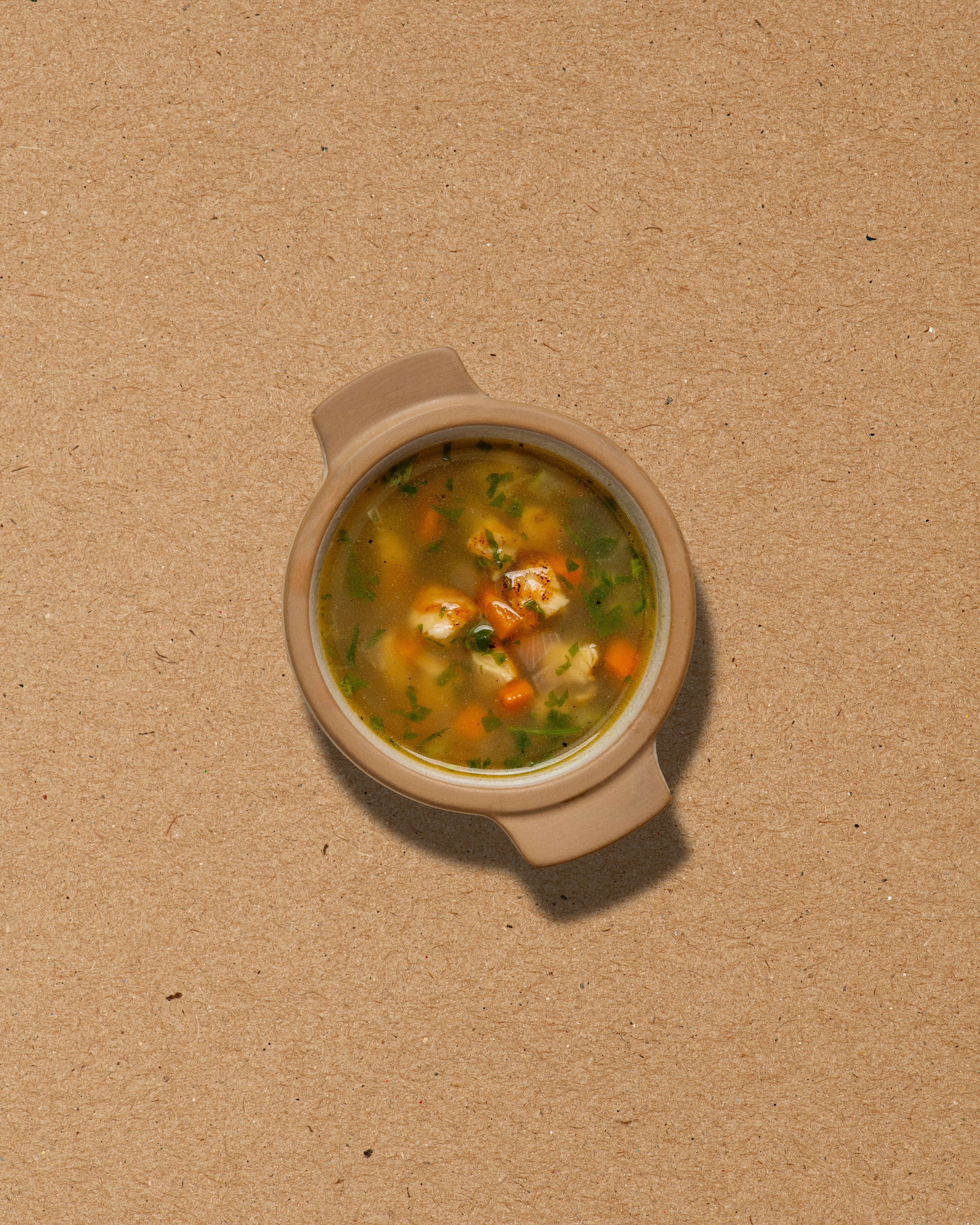 Chicken Noodle Soup