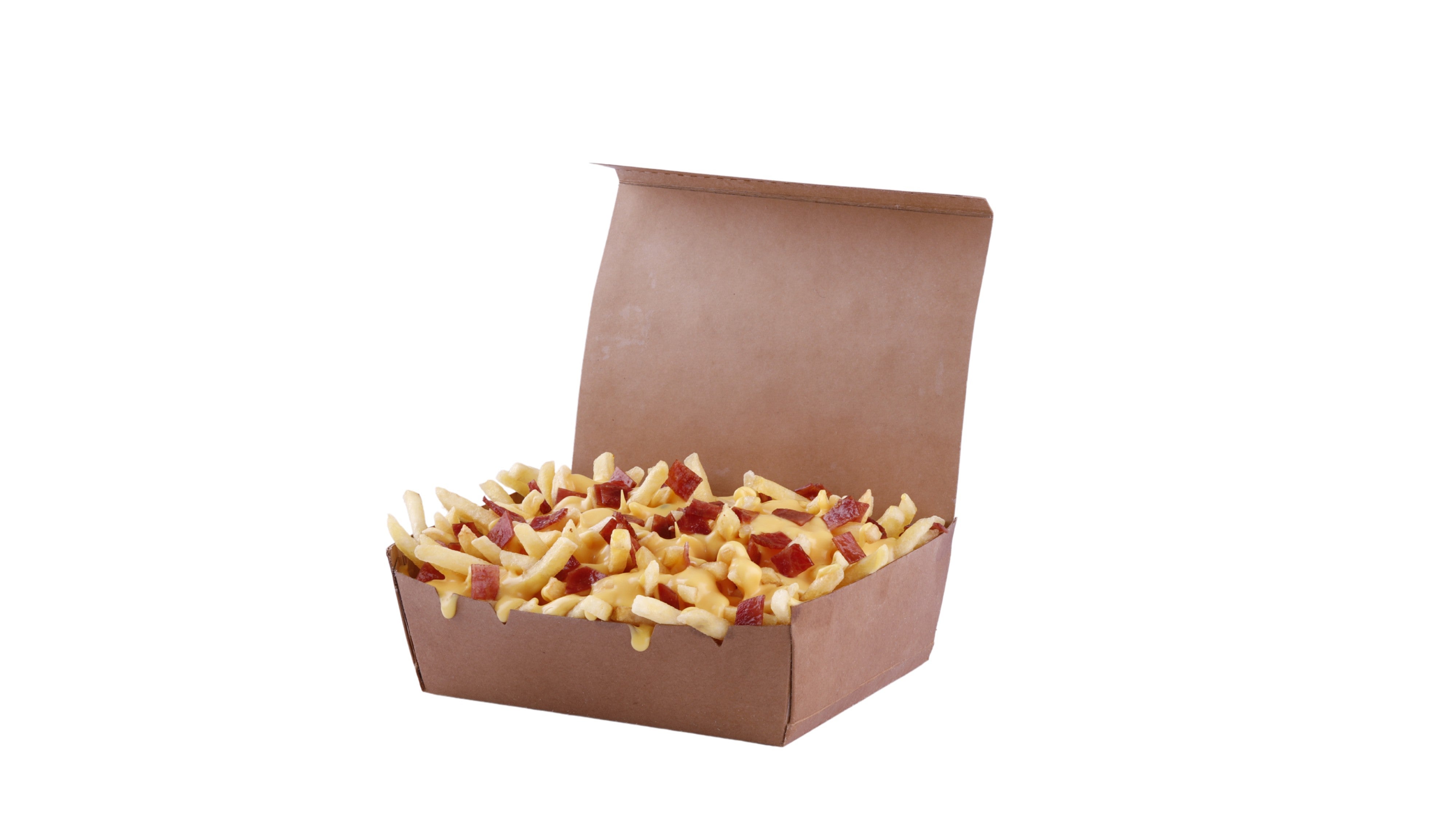 FRITES CHEDDAR BACON 🆕