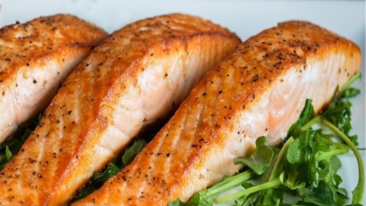 Salmon Meal