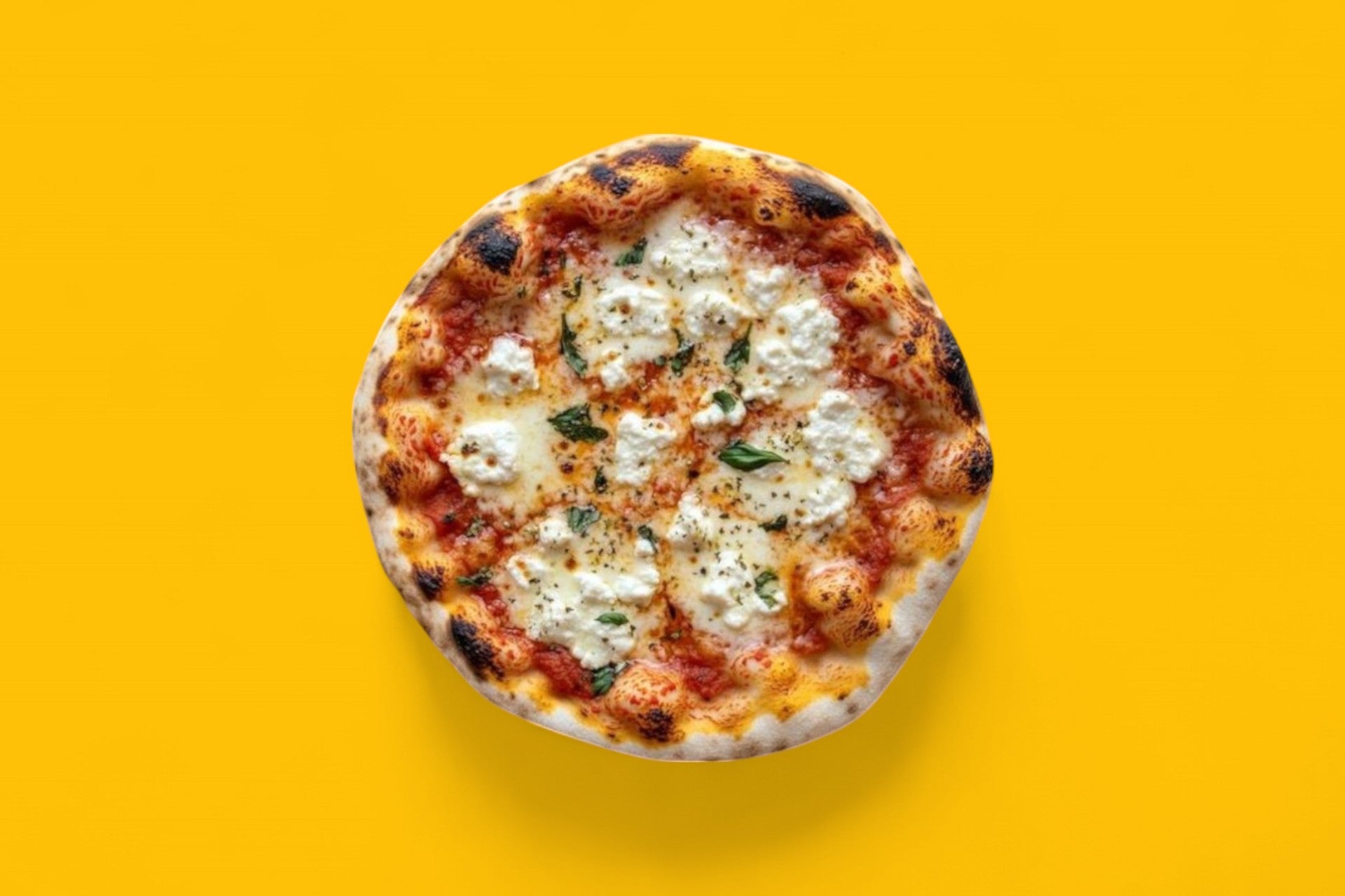 4 FROMAGES 🧀