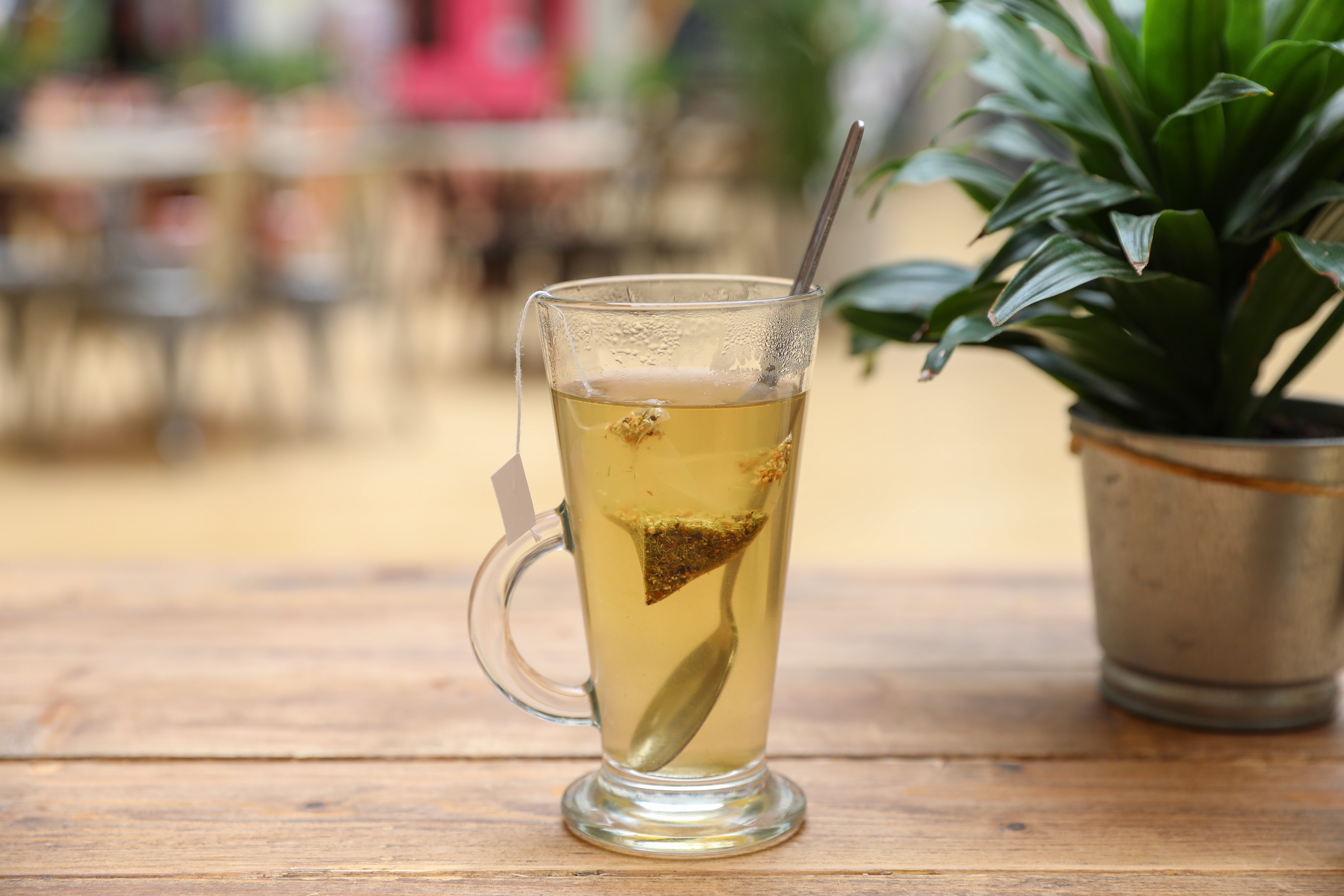 Lemon and Ginger Humptea