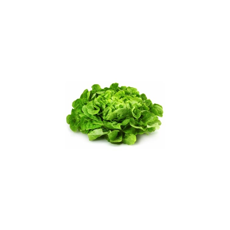 Salade