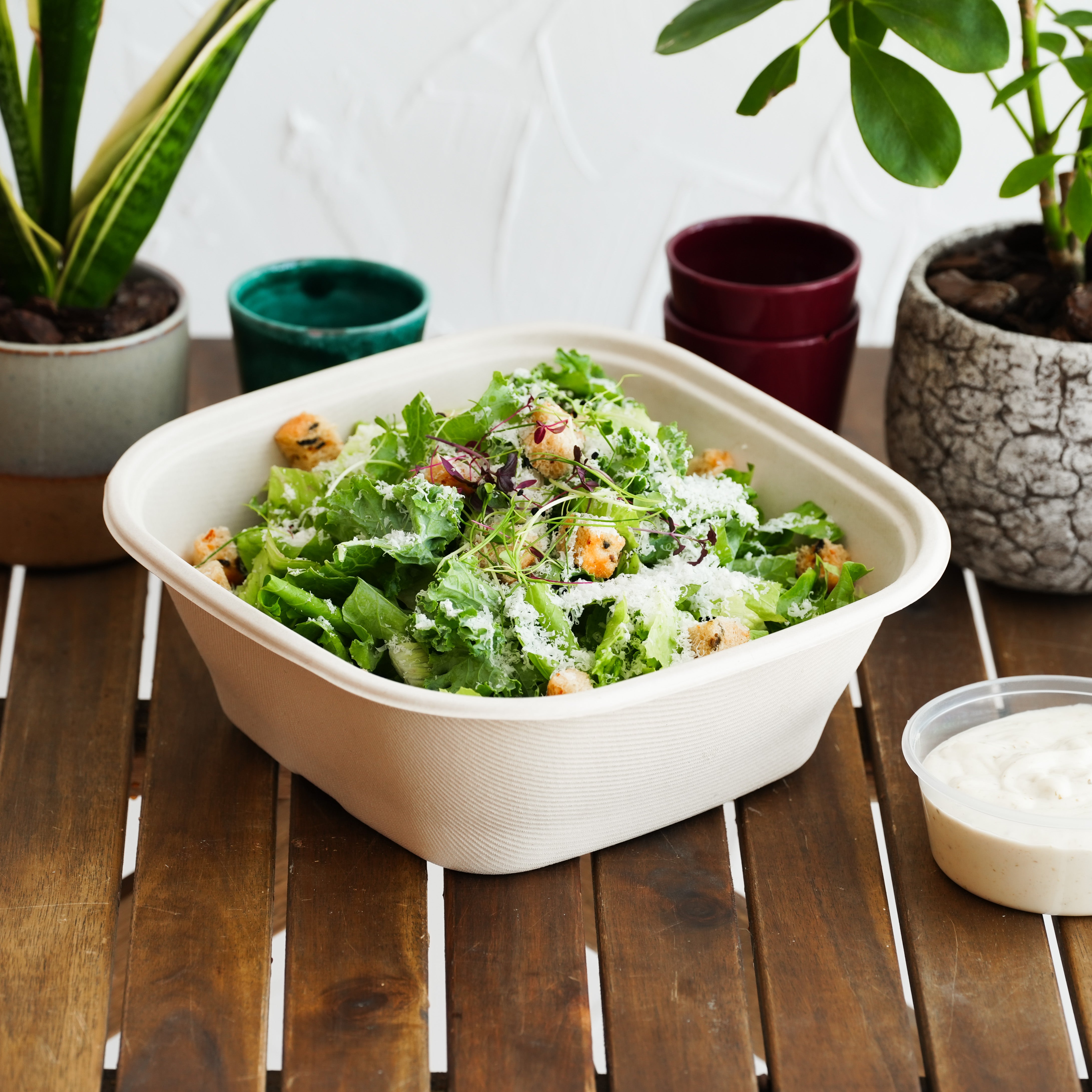 Caesar Salad