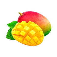 Mangue