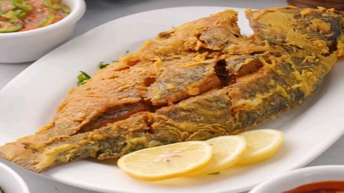 Bolty Fish Meal