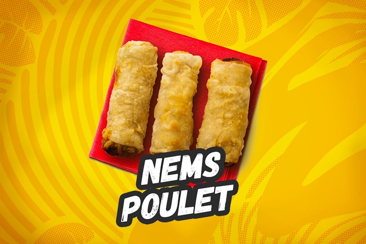 🍗 NEMS POULET
