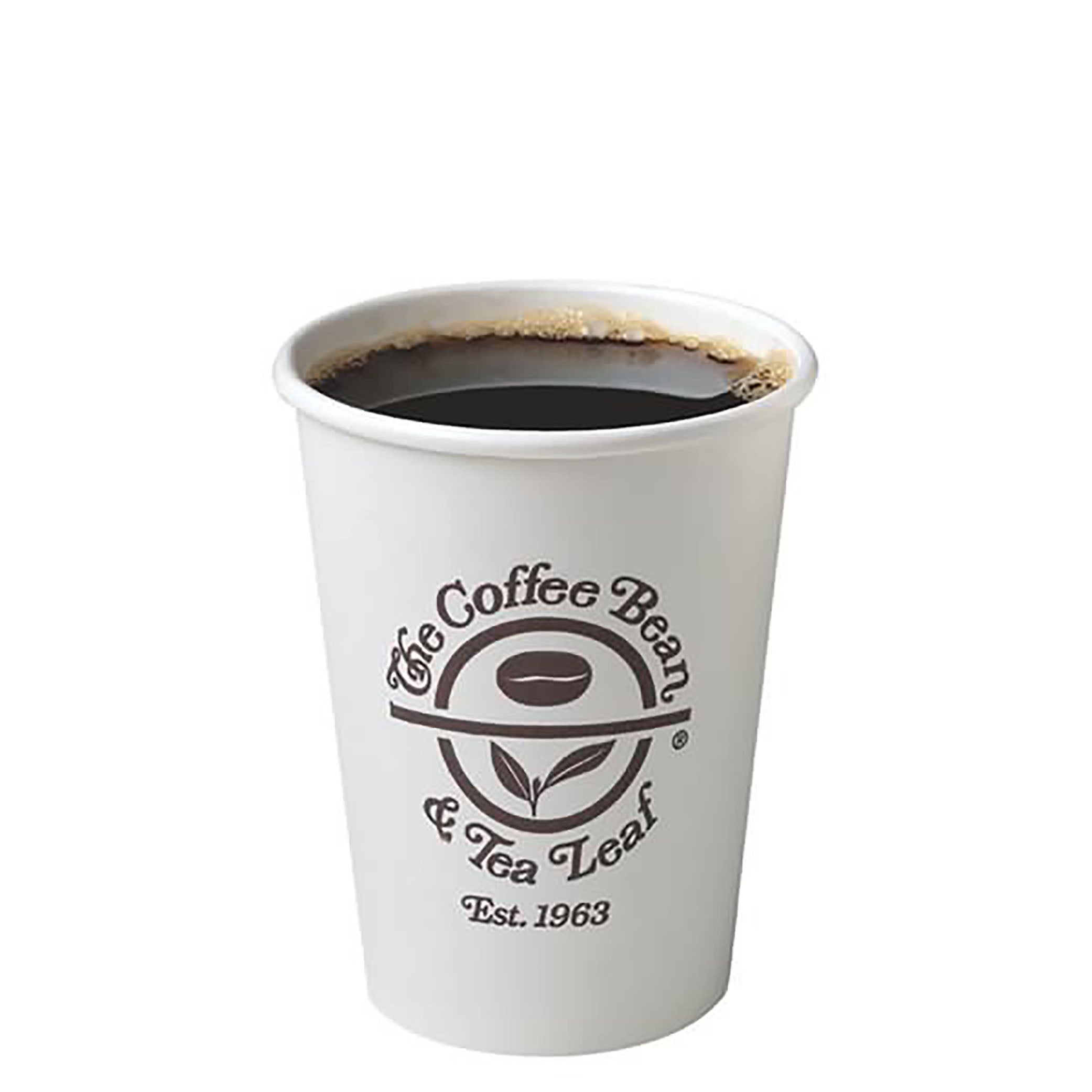 Today's Brew