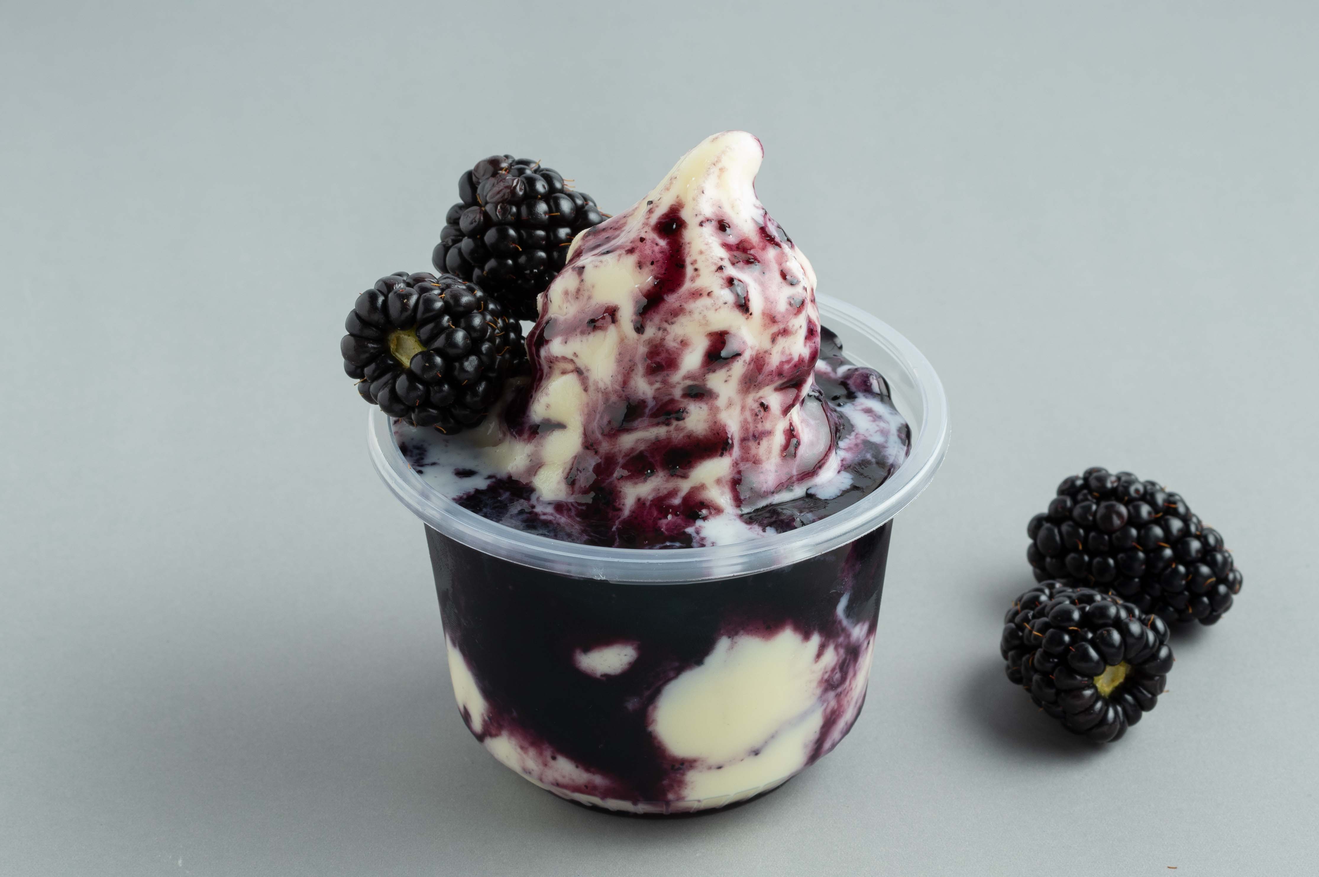 Blueberry Topping Ice Cream