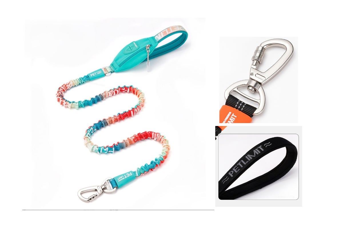 Bungee Dog Leash Manufacturer [115-175]*2.5Cm