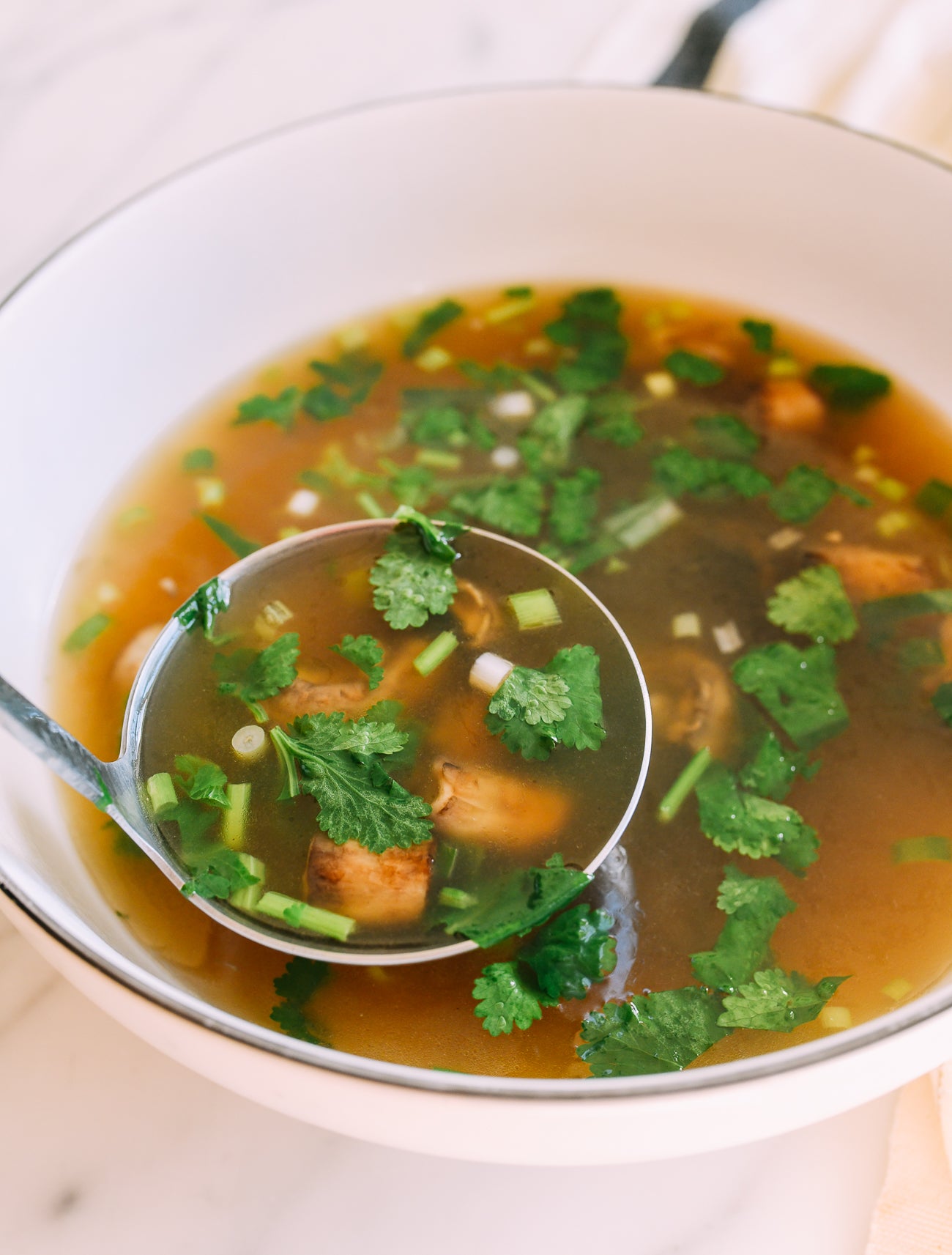 Mushroom Soup