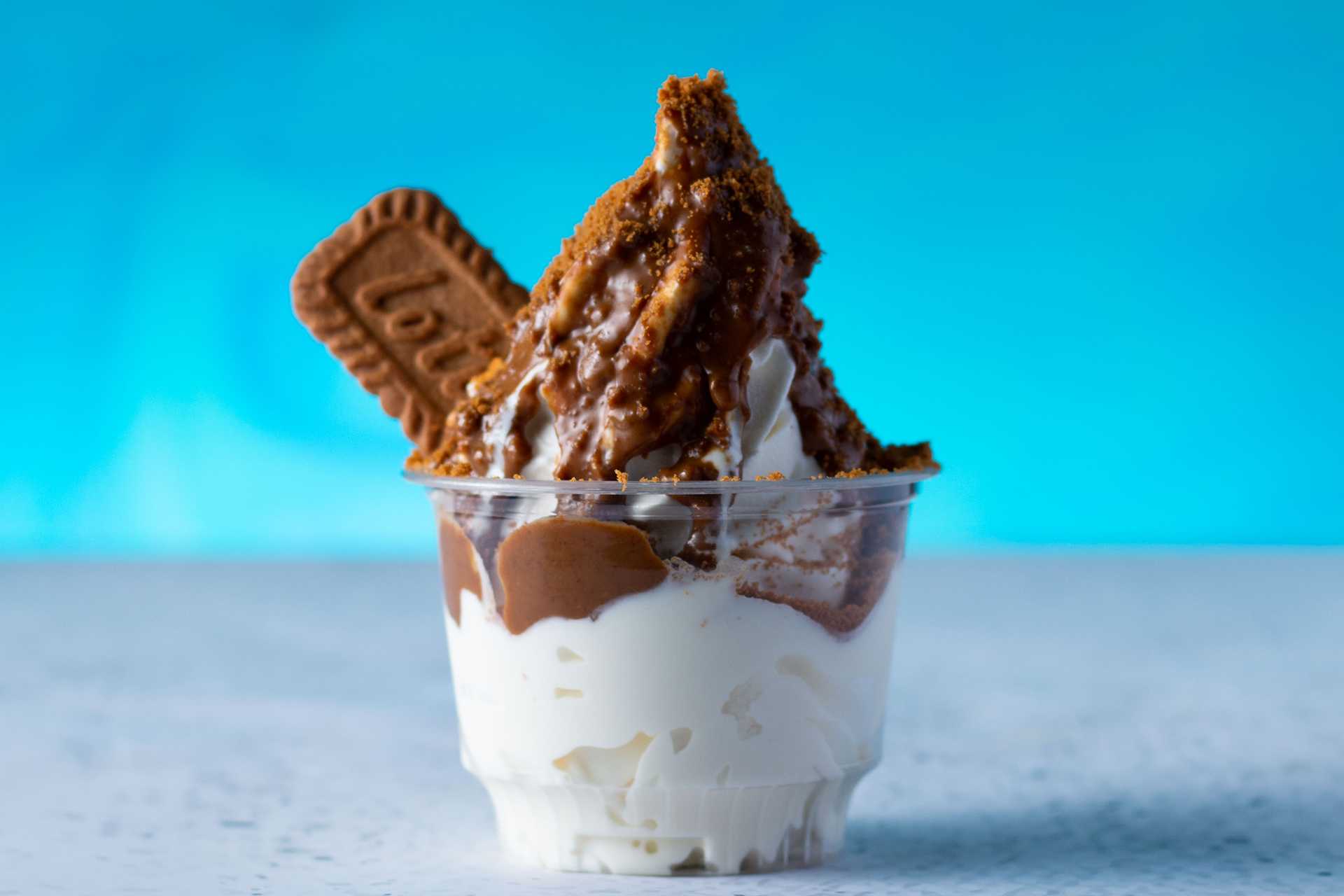 Saucy Lotus Ice Cream
