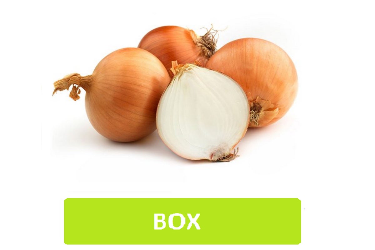 Brown Onions Box - Approx. 1.25Kg