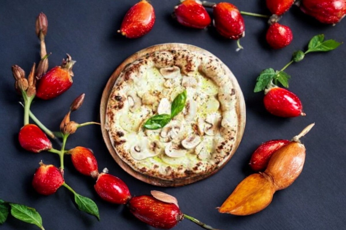 FERMIÈRE🍕🍅 🌾🇫🇷