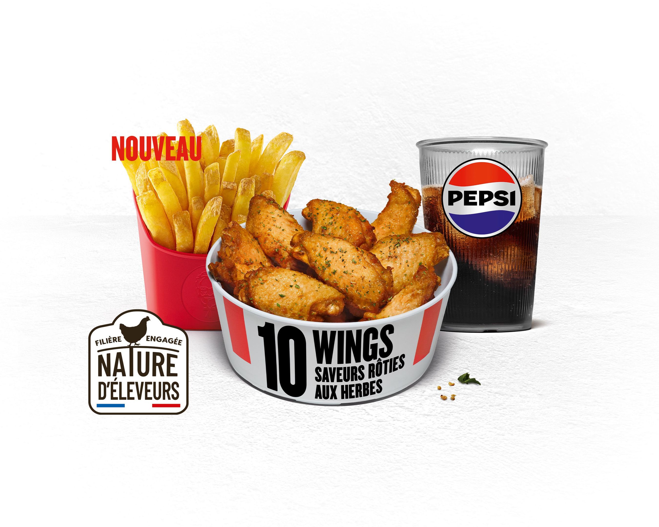 MENU INDIVIDUEL - 10 WINGS SAVEURS ROTIES AUX HERBES