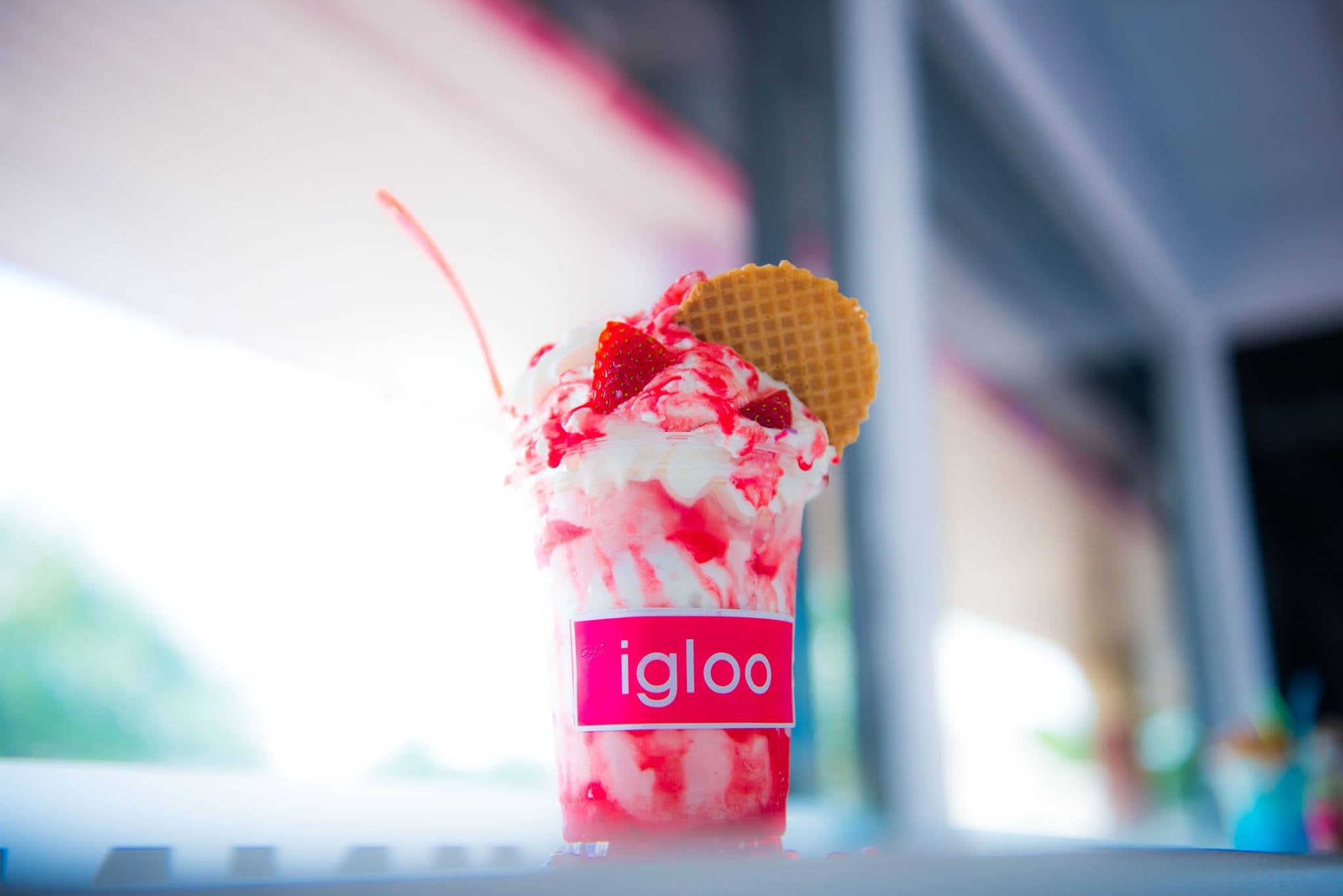 Igloo Ice Cream