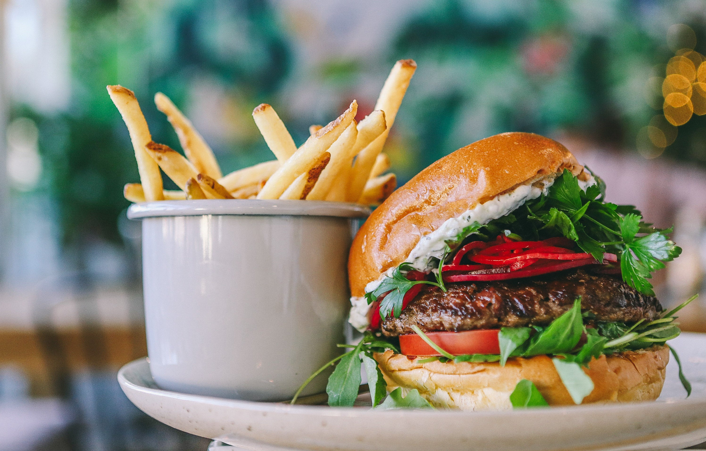 The Melt Targets Florida Expansion in Tampa and Orlando