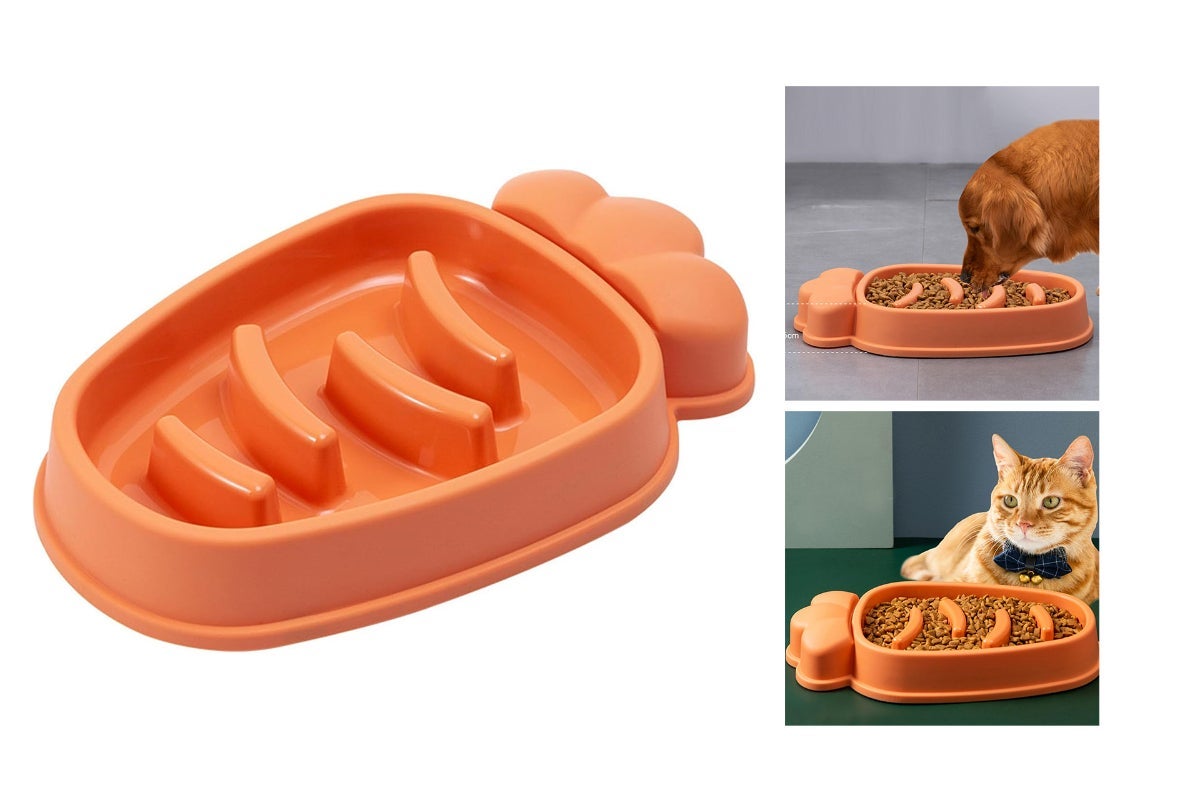 Carrot Slow Feeder Bowl