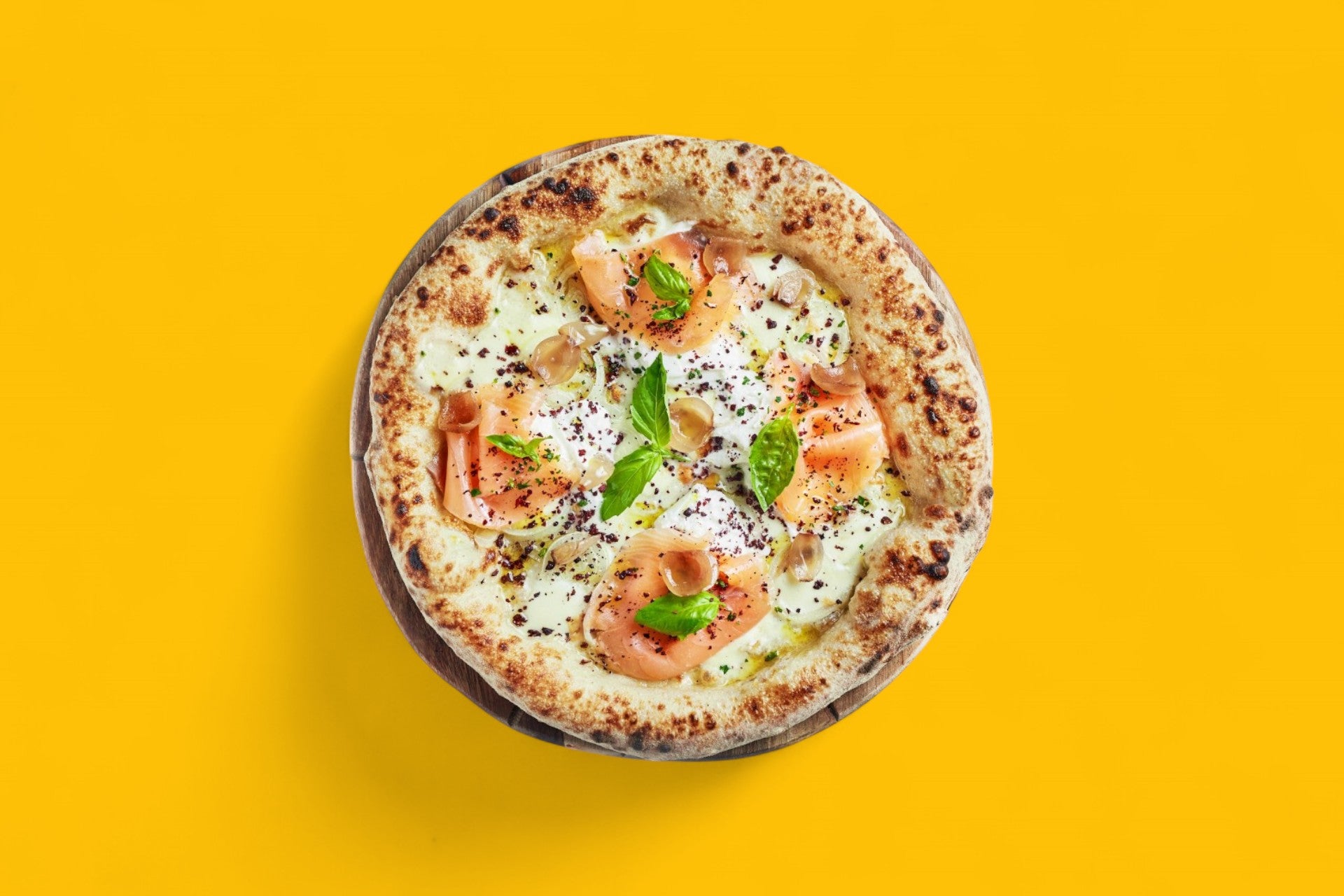 NORVÉGIENNE 🇳🇴🍕🍅🐟