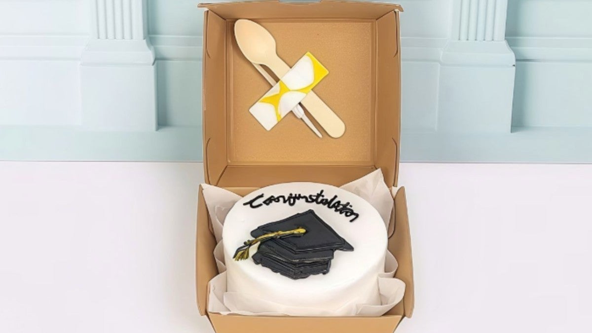 Graduation Bento Cake