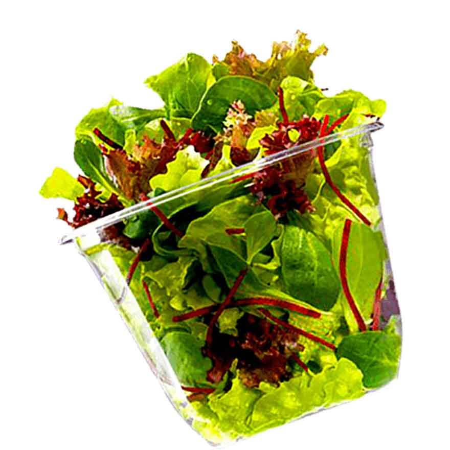 Salade verte